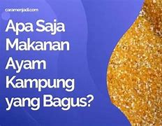 Slot Tipes Rasa Ayam Kampung Yang Bagus Apa